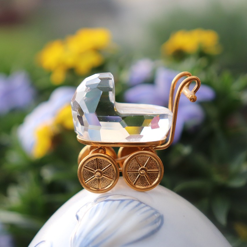 Profesionalna fotografija